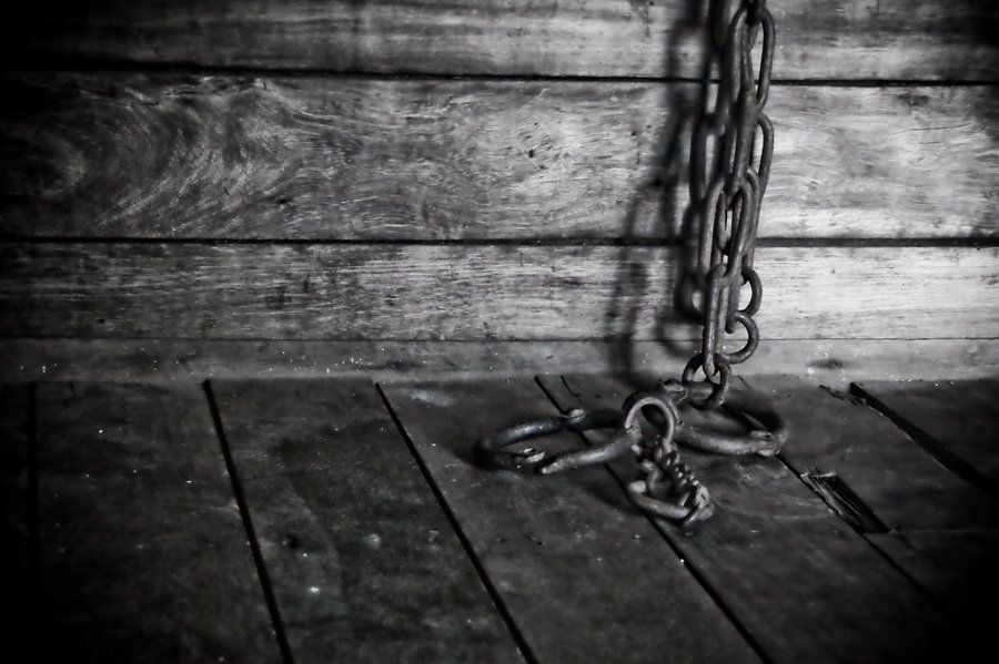 Day 21: Freedom in Christ