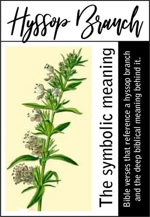 Hyssop Branch - Symbolic Meaning