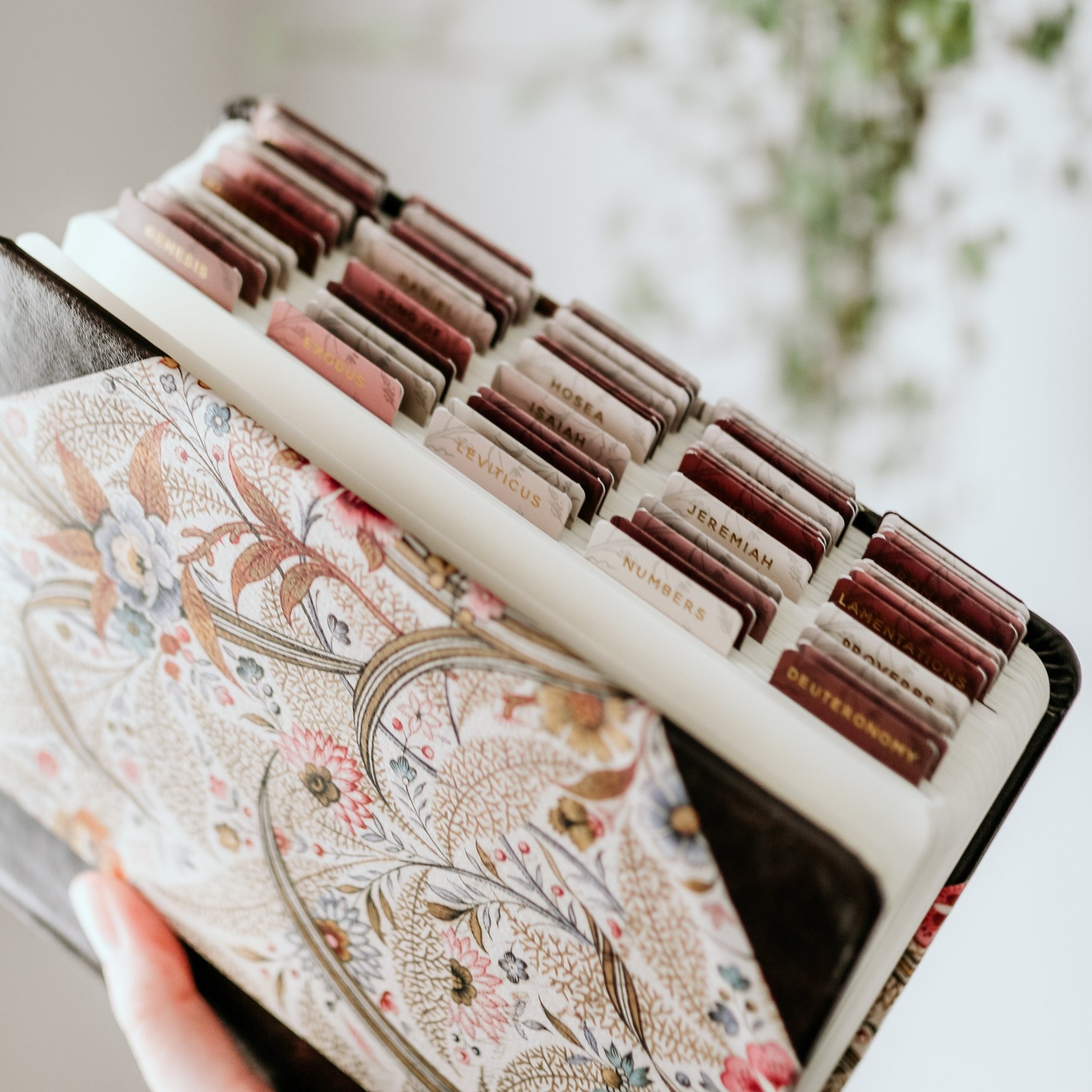 rose colored bible tabs