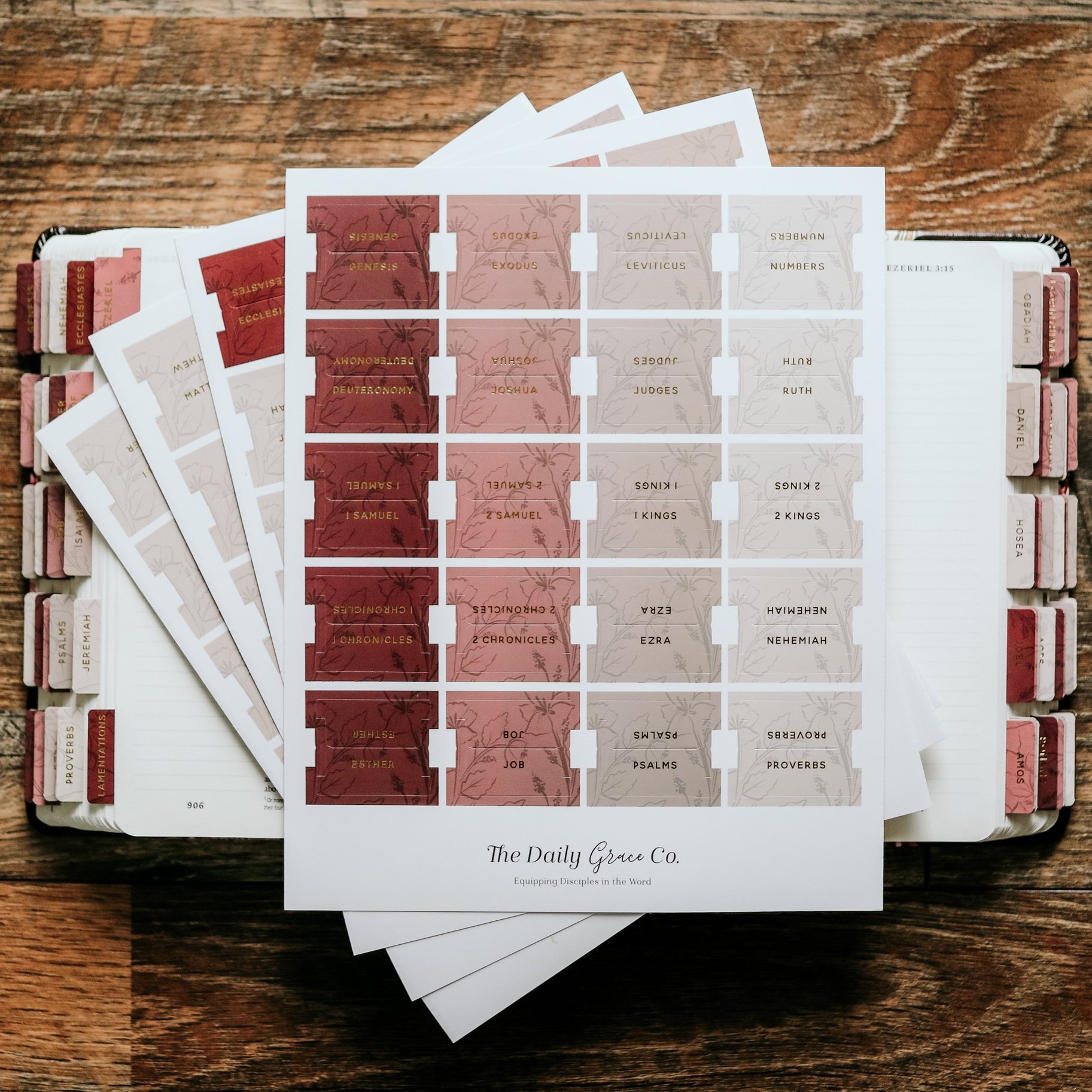 daily grace bible tabs