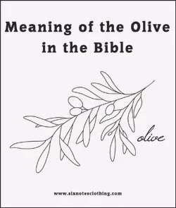 Meaning and Use of Olive in the Bible