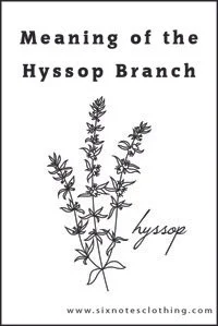 Meaning of the Hyssop Branch