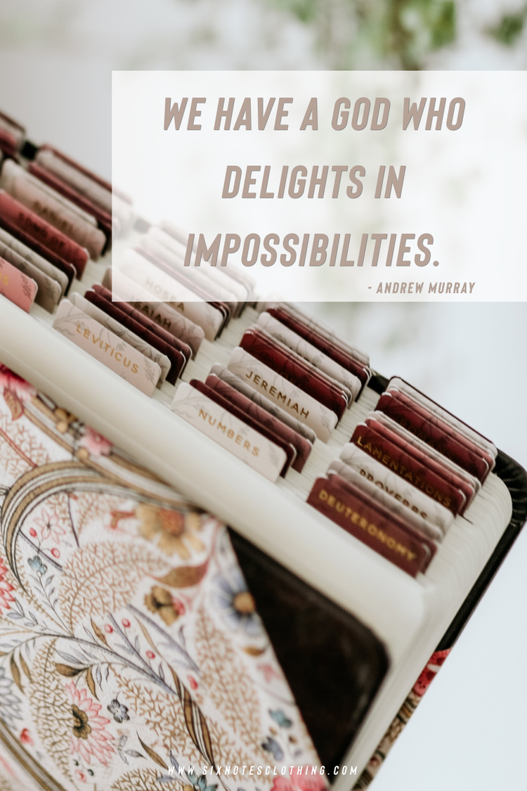 Delights In Impossibilities