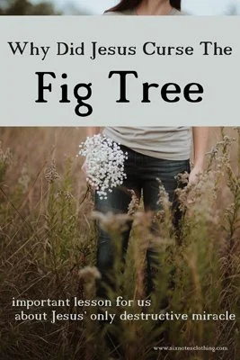 Cursing of The Fig Tree