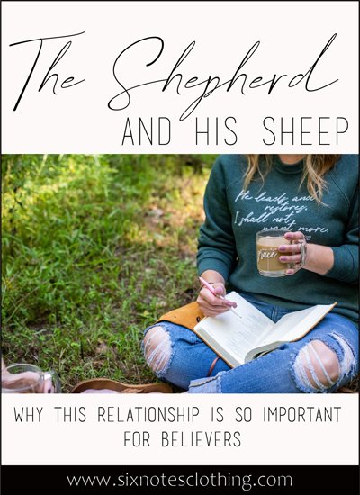 Shepherd and His Sheep