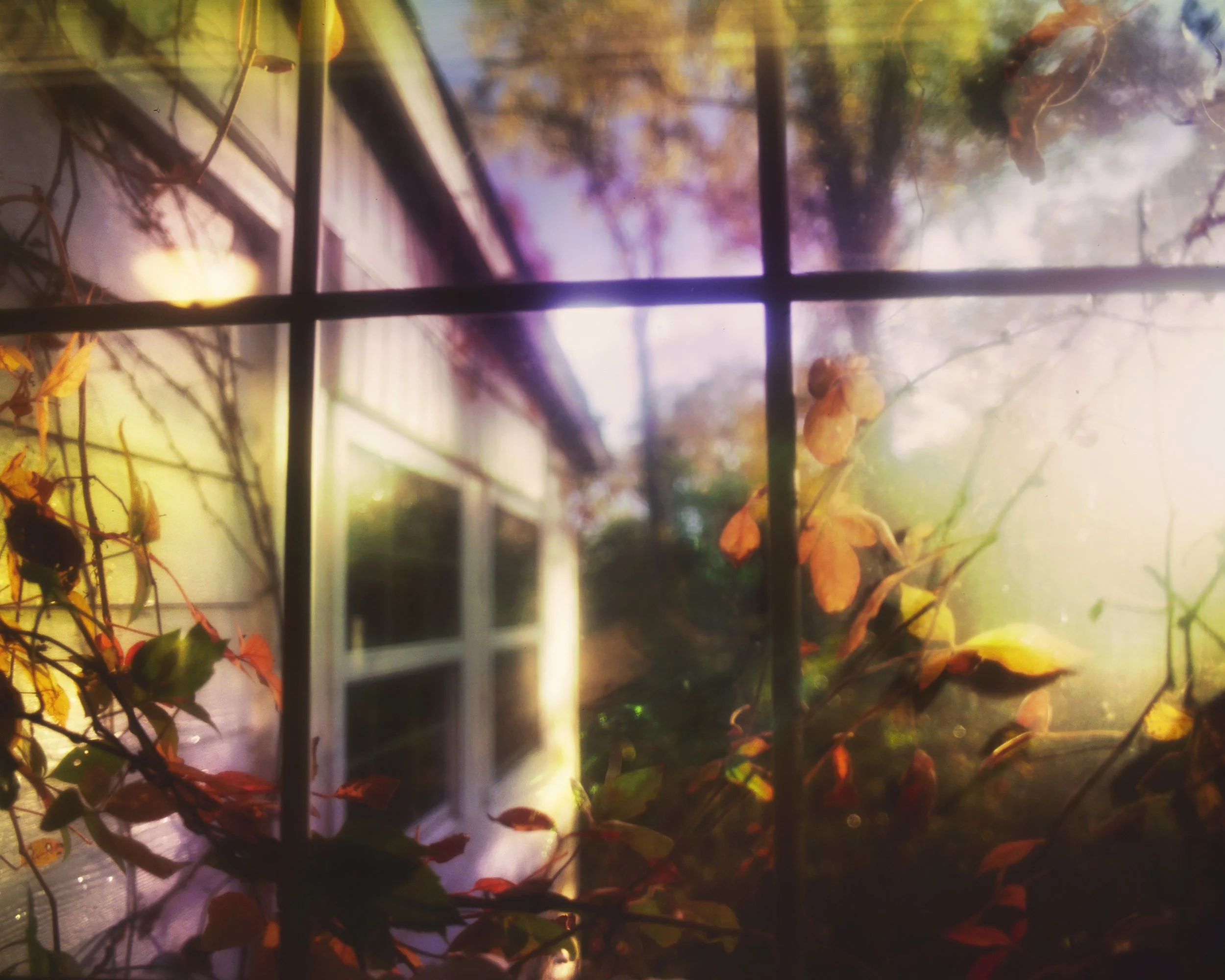 BedroomWindow_Ewing12x15.jpg