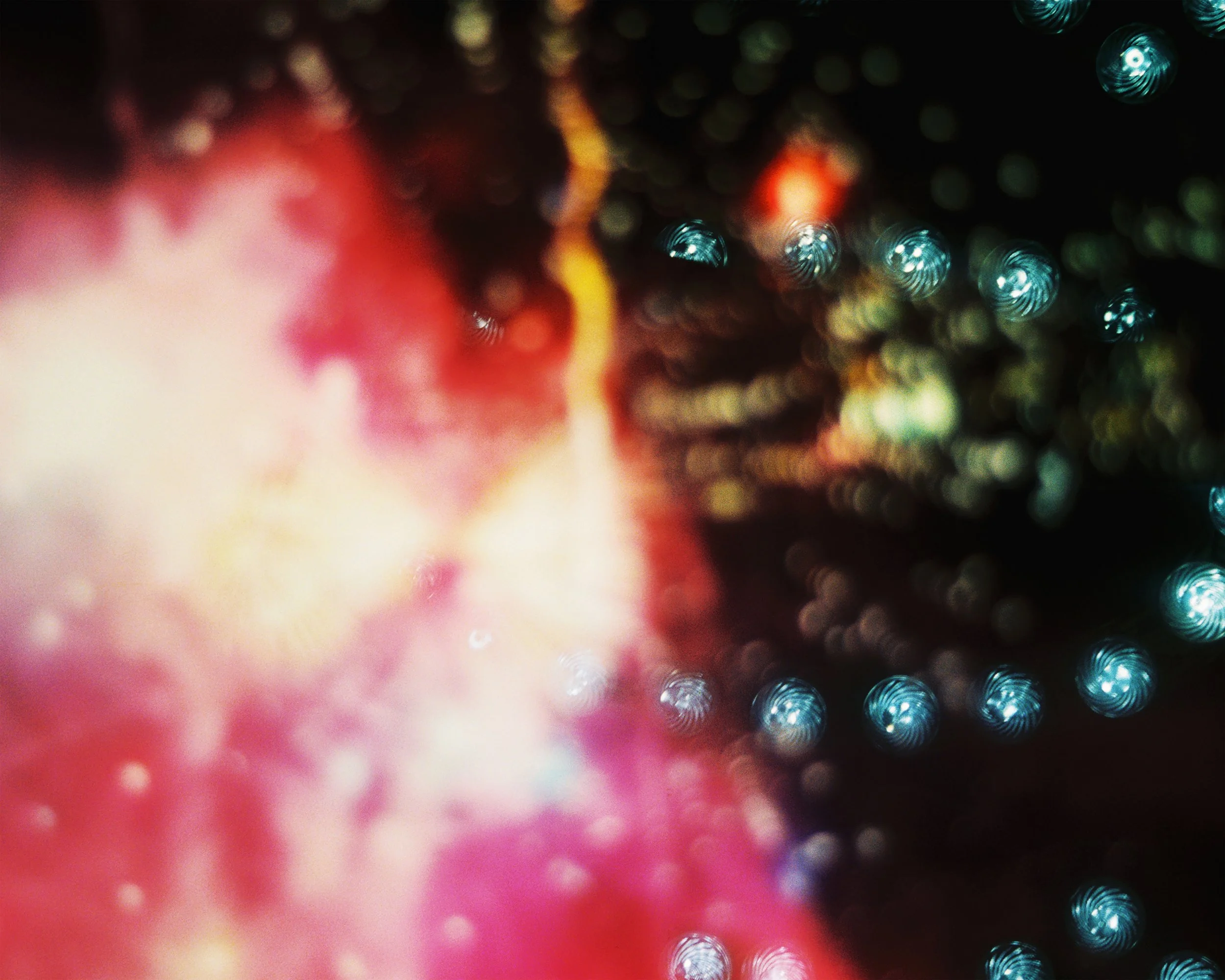 Carnivallights_20x25.jpg