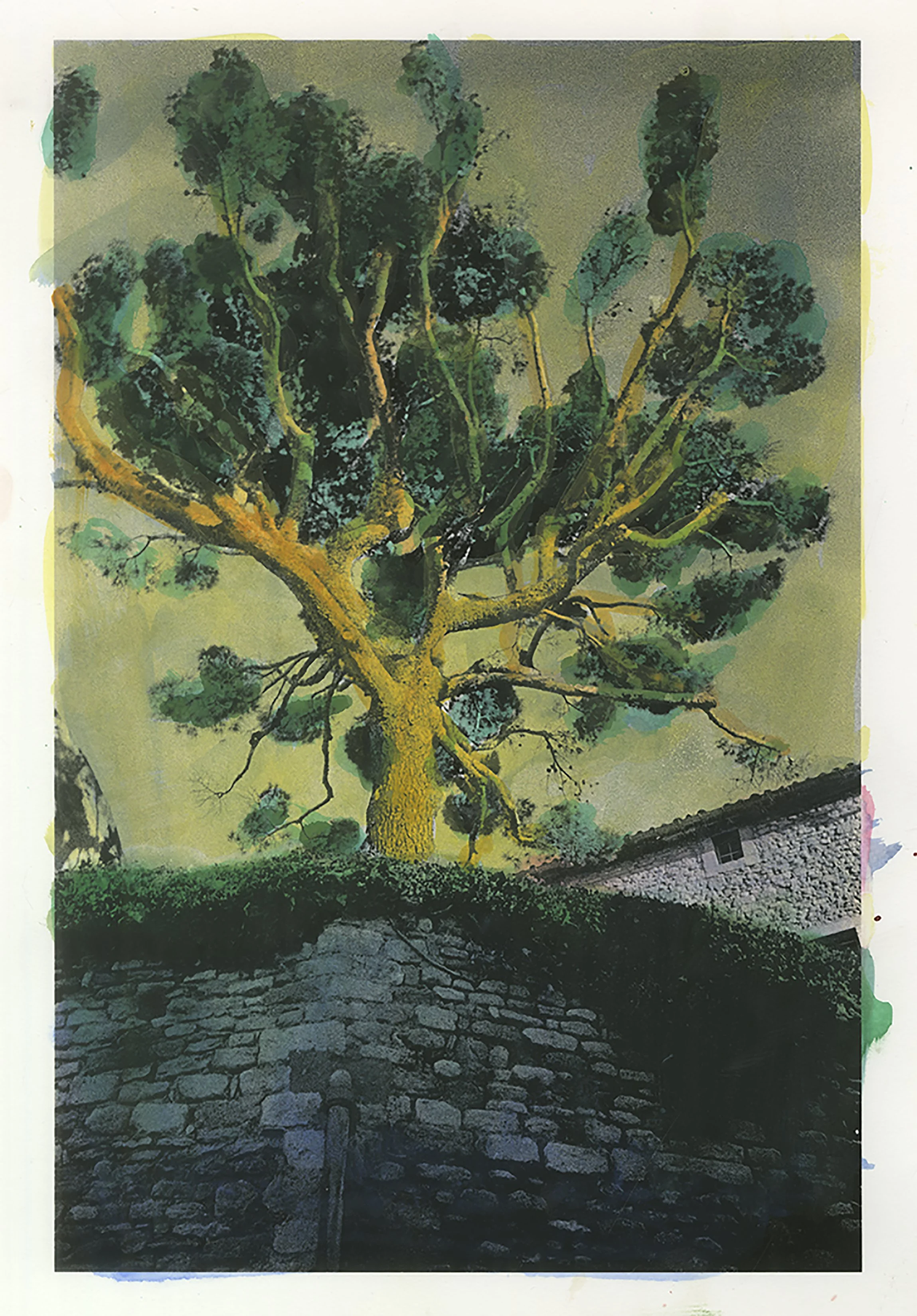 Scan 3.jpg