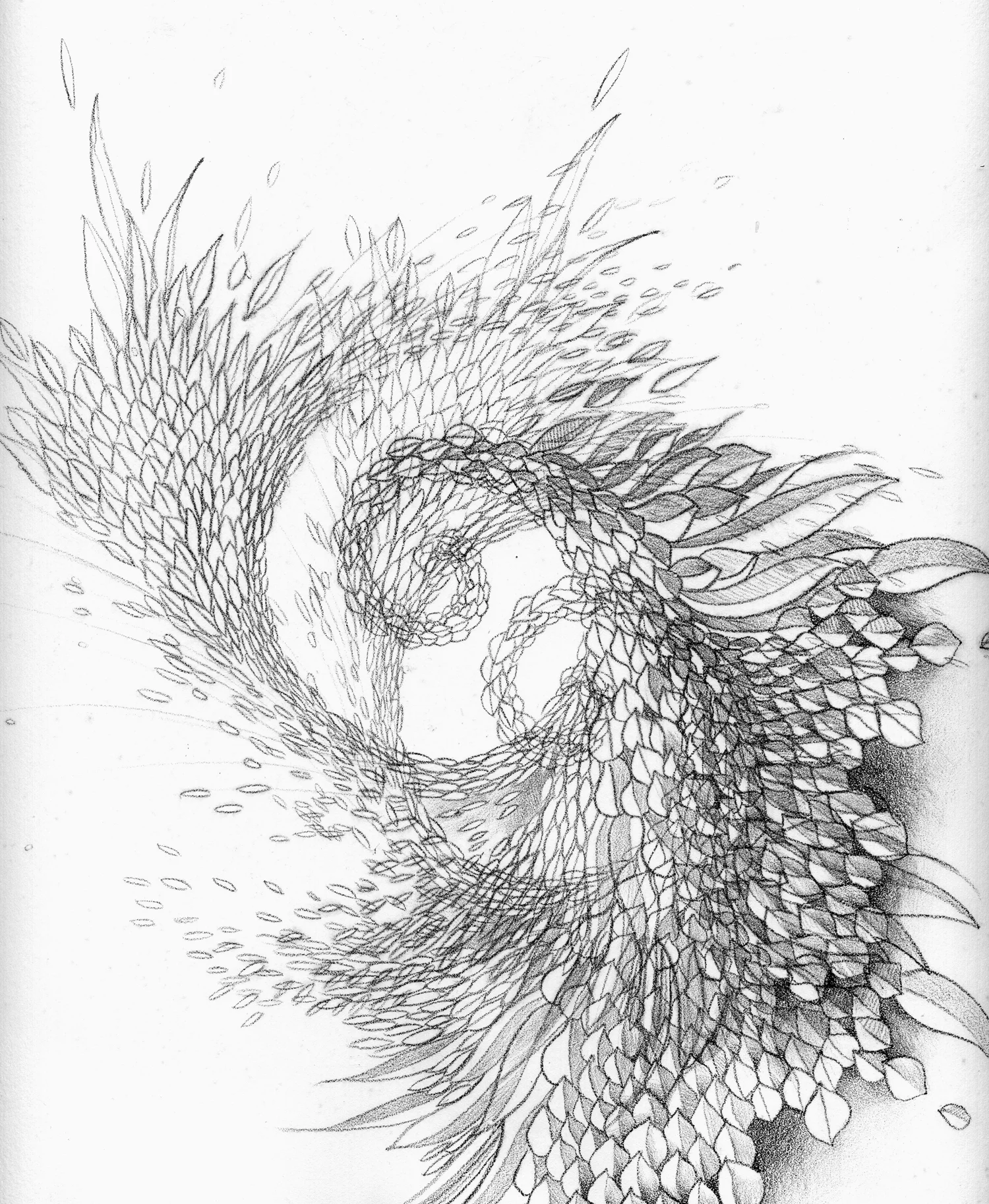 Whorl
