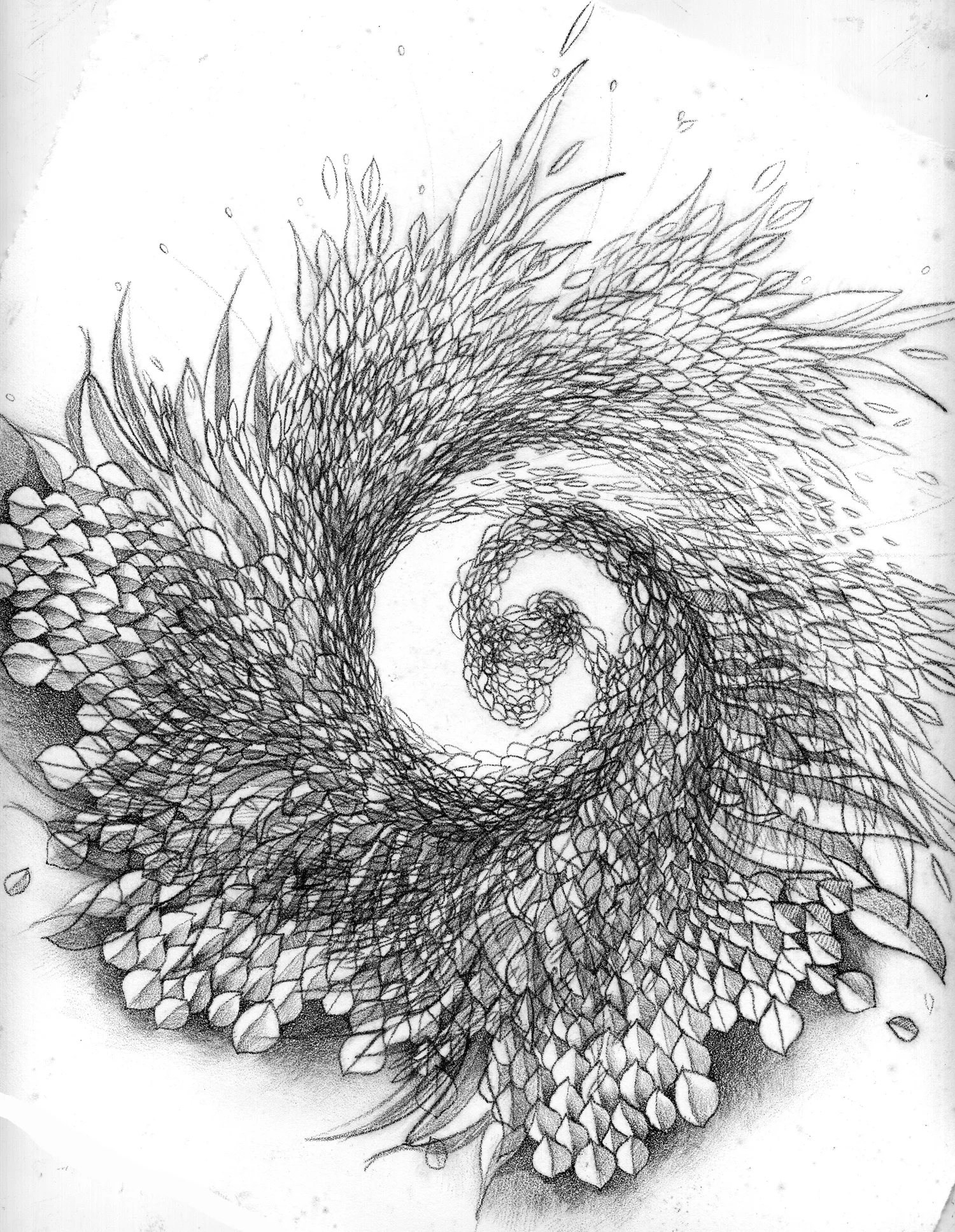 Whorl
