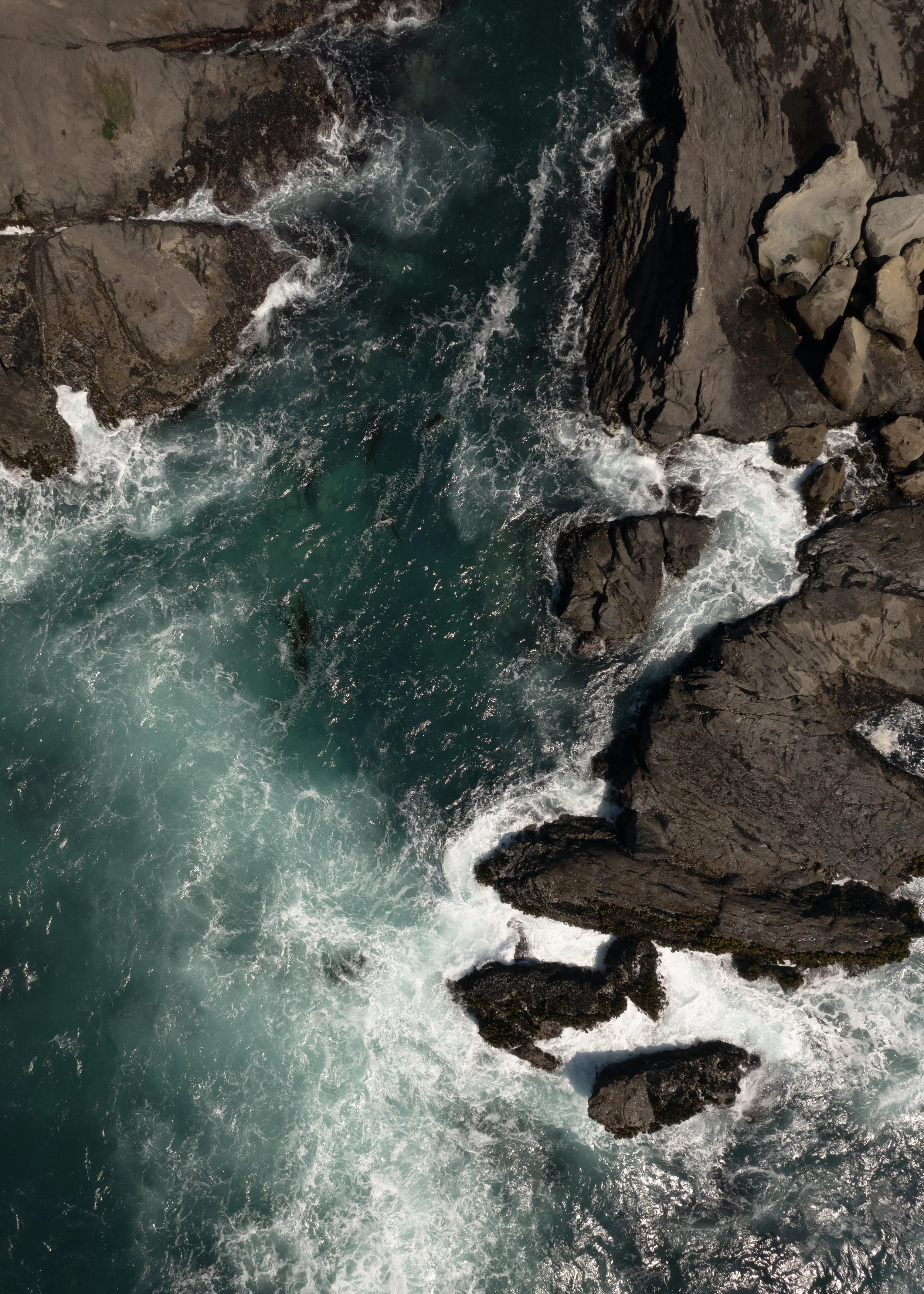 SeaRanch-JTombs-003.JPG