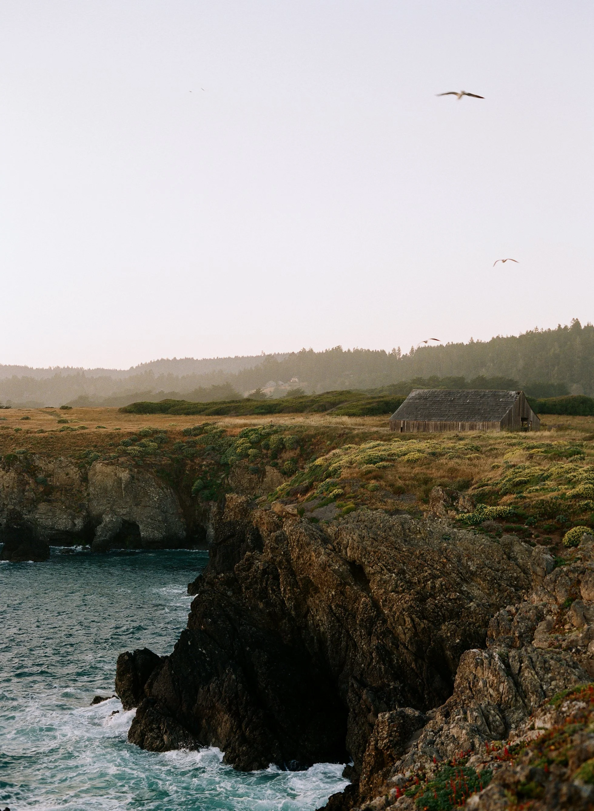 SeaRanch-JTombs-017.JPG