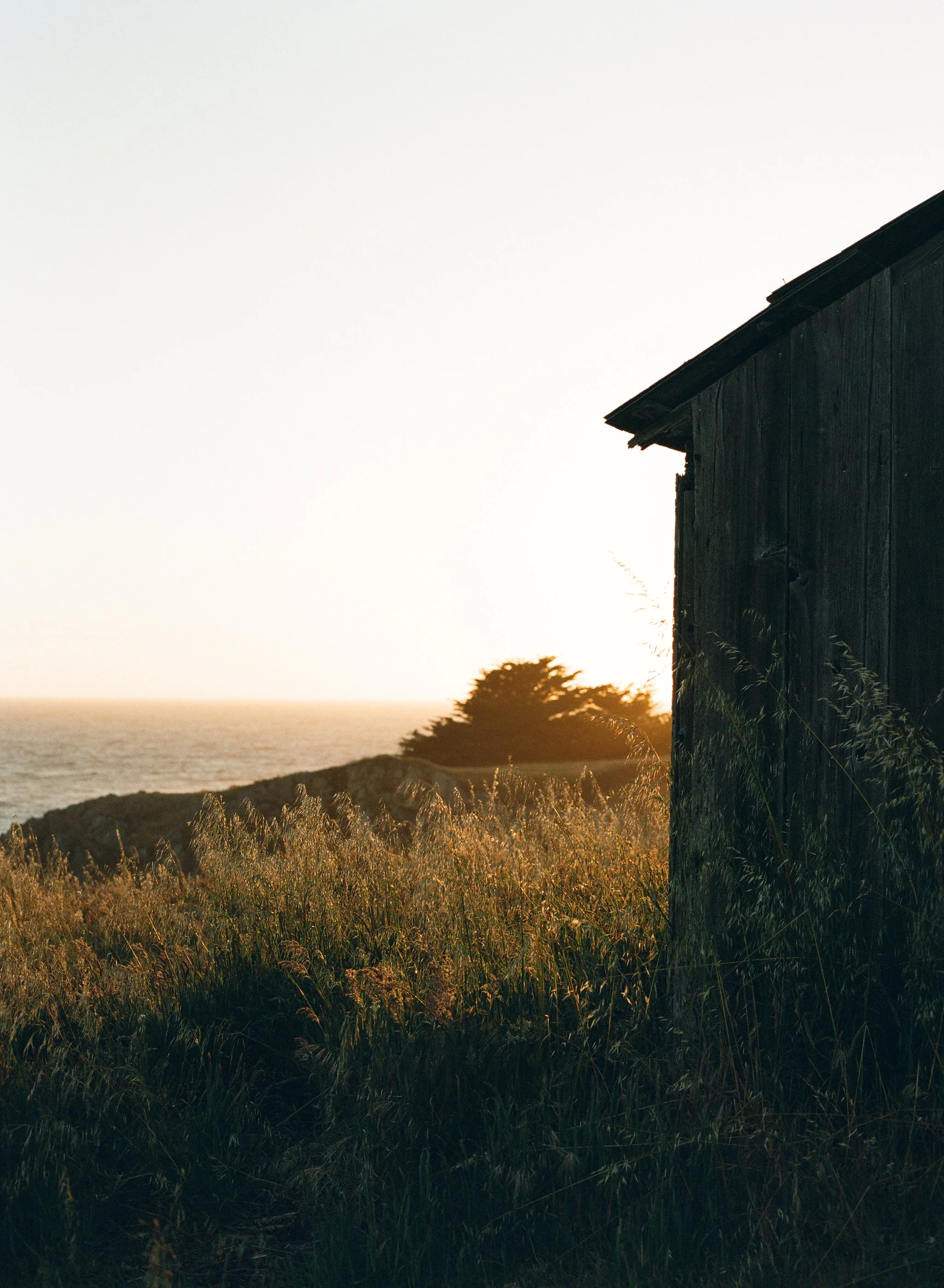 SeaRanch-JTombs-031.JPG
