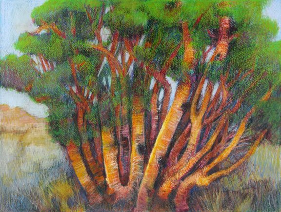 Red Birch, Horton Creek – 2011,  Collection of the Escalette Permanent Collection of Art