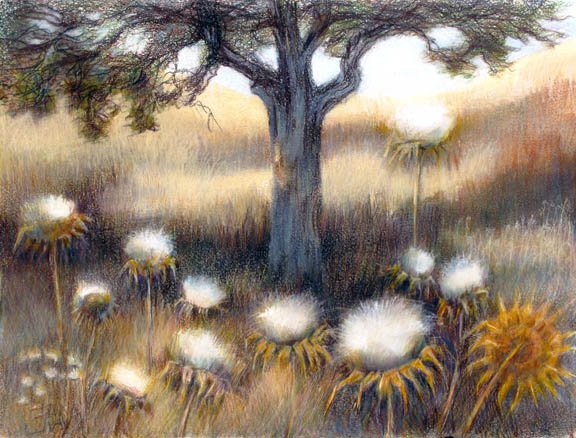 Thistles, California Hillside – 2015, Collection of the Escalette Permanent Collection of Art