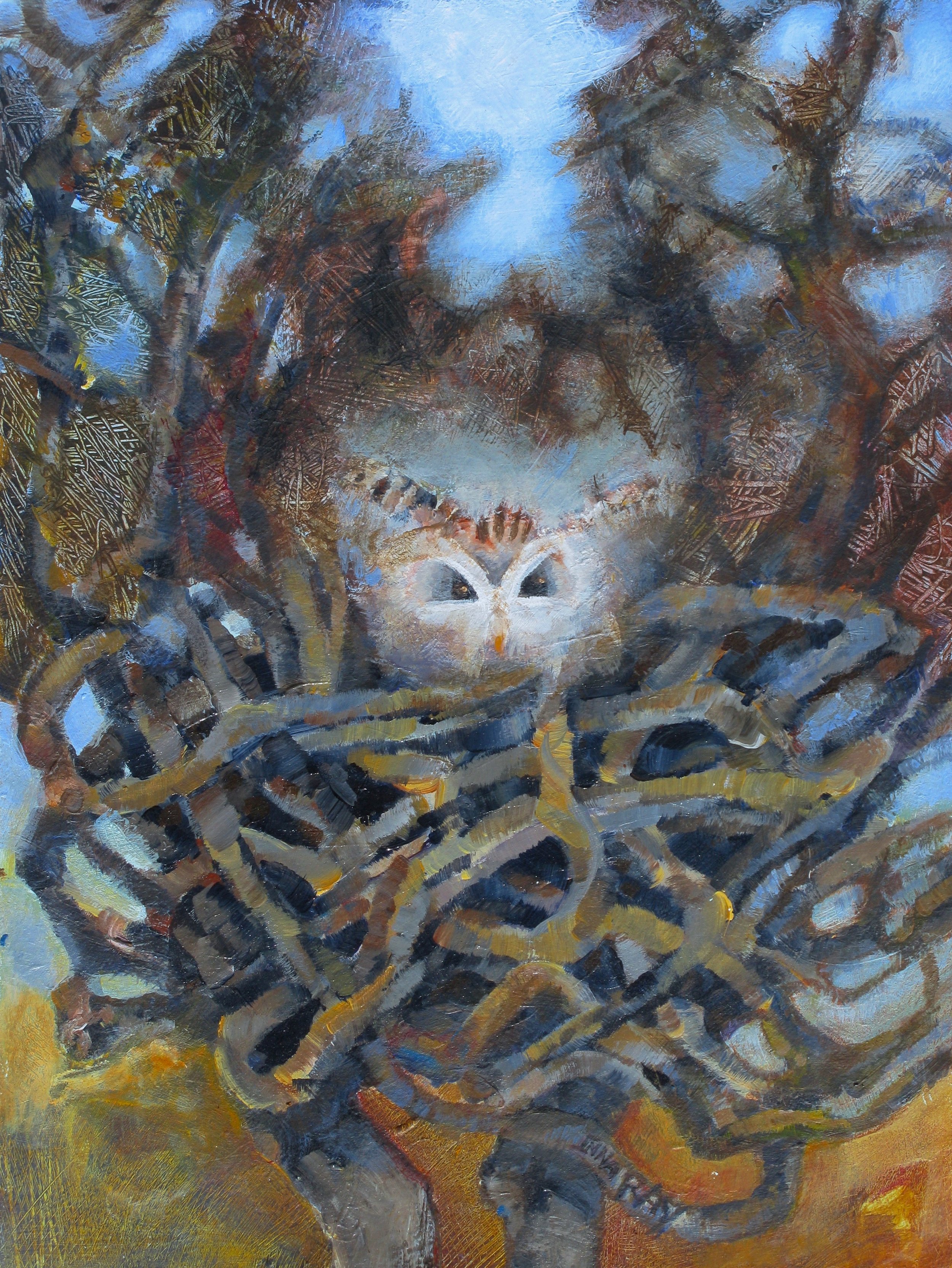 Owl_long-eared_owlet_thicket_nest.jpg