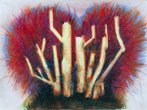 Red Birch, Heart Valentine, 2011, Collection of the Escalette Permanent Collection of Art