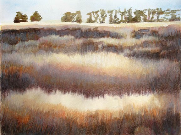 Field of Dry Grass #2, Point Pinole – 2015, Collection of the Escalette Permanent Collection of Art
