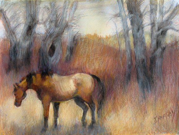 Autumn Appaloosa, Round Valley – 2015, Collection of the Estate