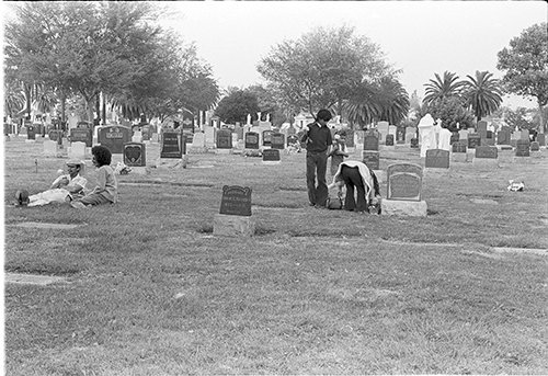 17-Dia-de-Los-Muertos-graves.jpg