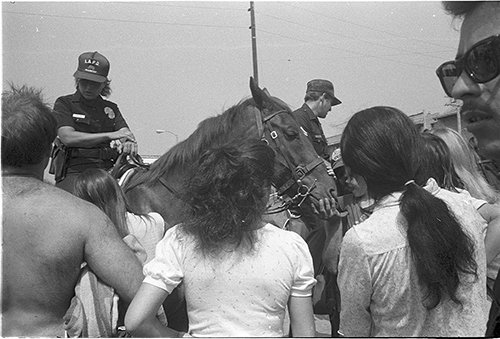 774-Venice-LAPD-mounted-officer.jpg