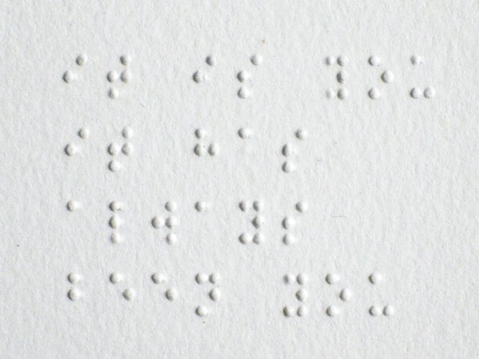fsdv_0006_e.jpg