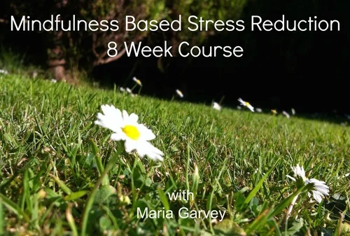 BAMBOO LOFT MBSR COURSE 