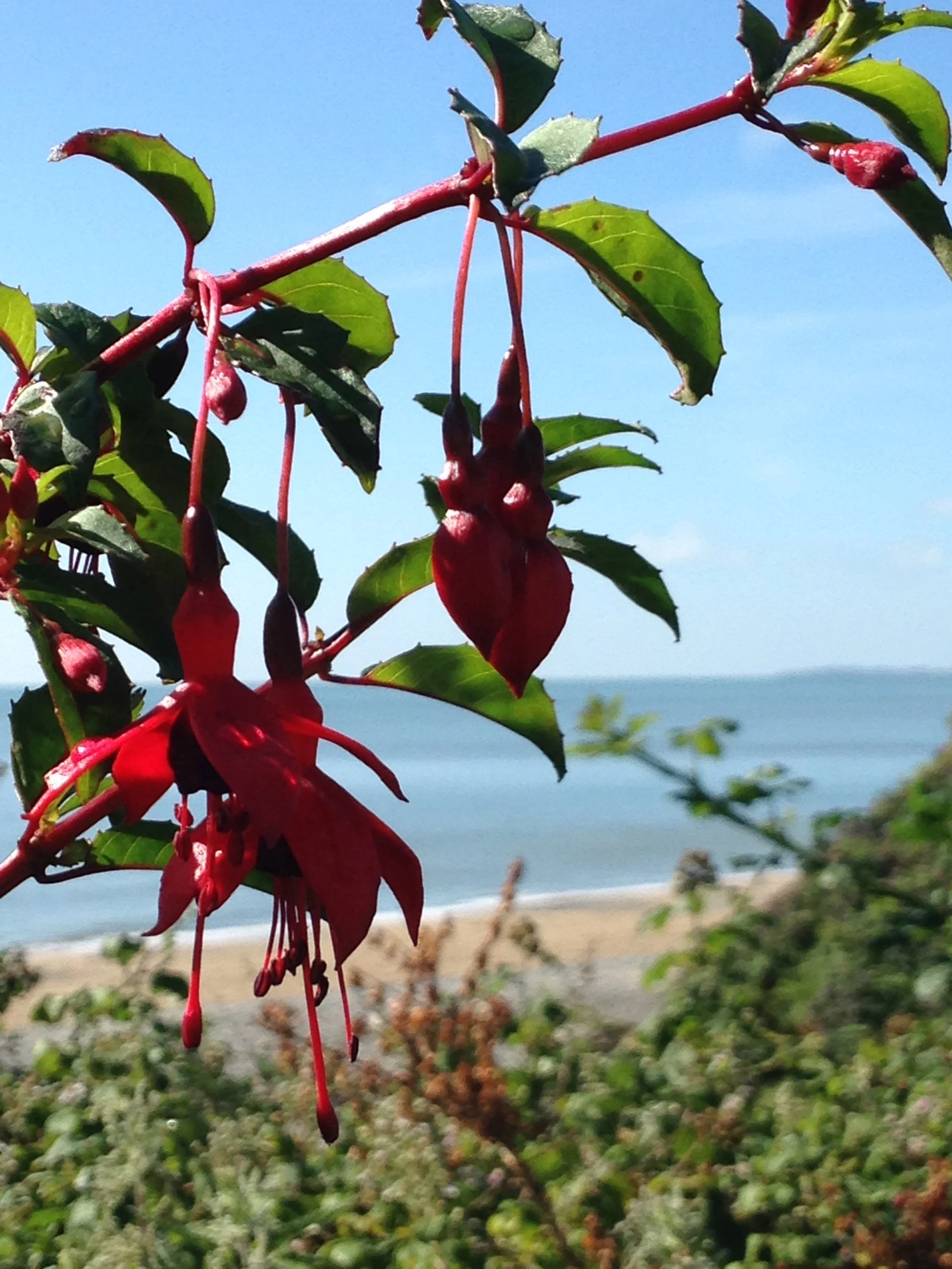 'SPACE TO BREATHE' MINDFULNESS AND MEDITATION DAY