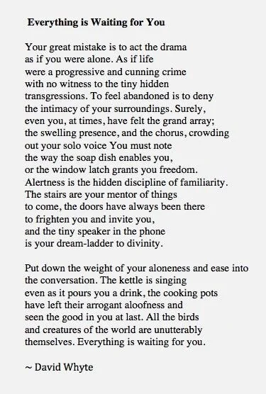 6_Whyte poem.jpg