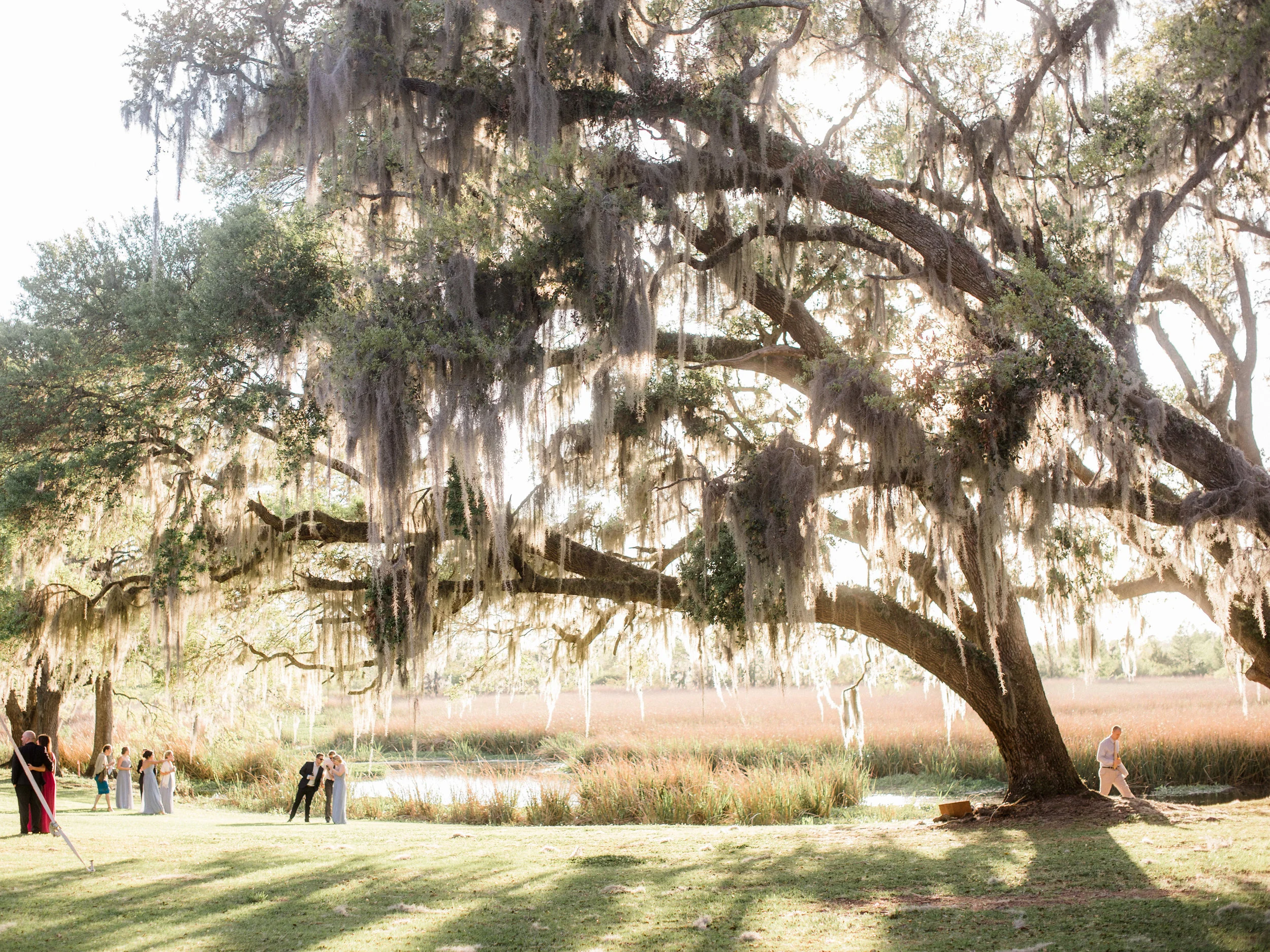 001litchfield_plantation.jpg