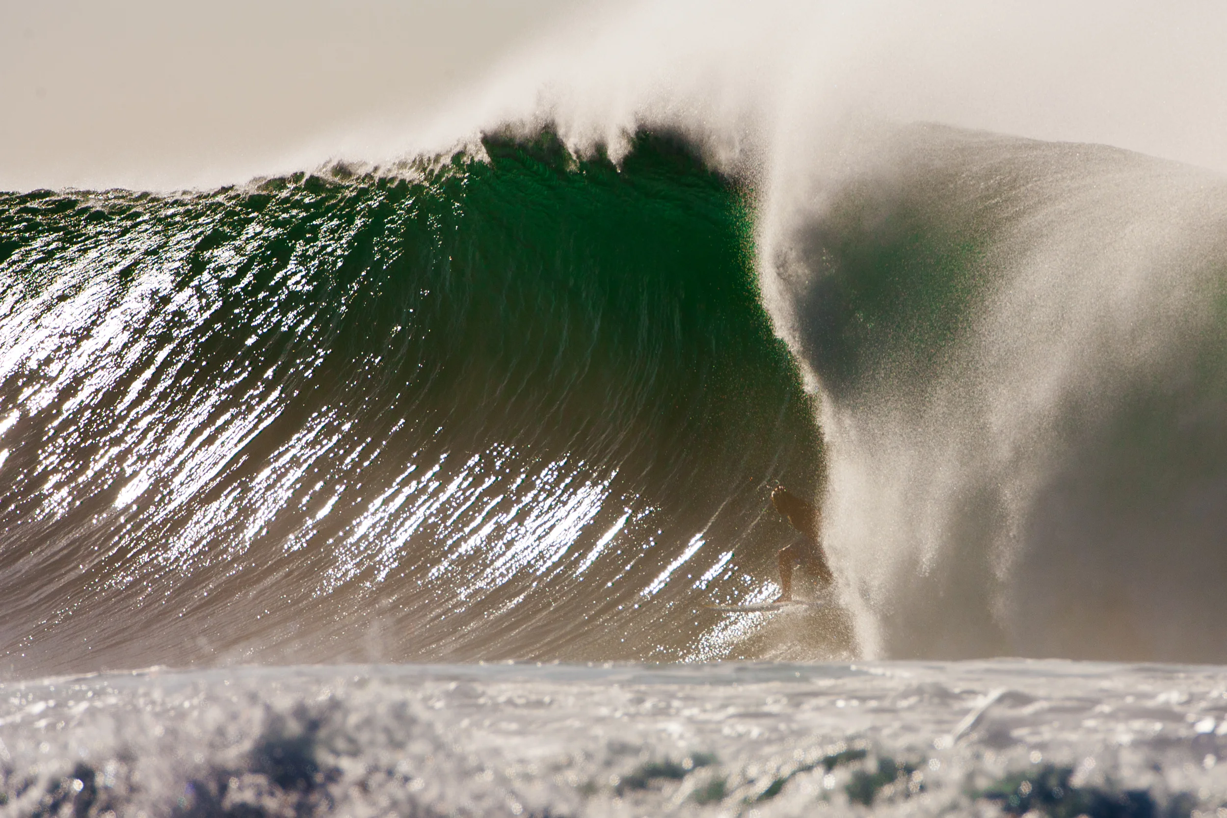 Dane Gudauskas, Backdoor - FreeSurf Magazine