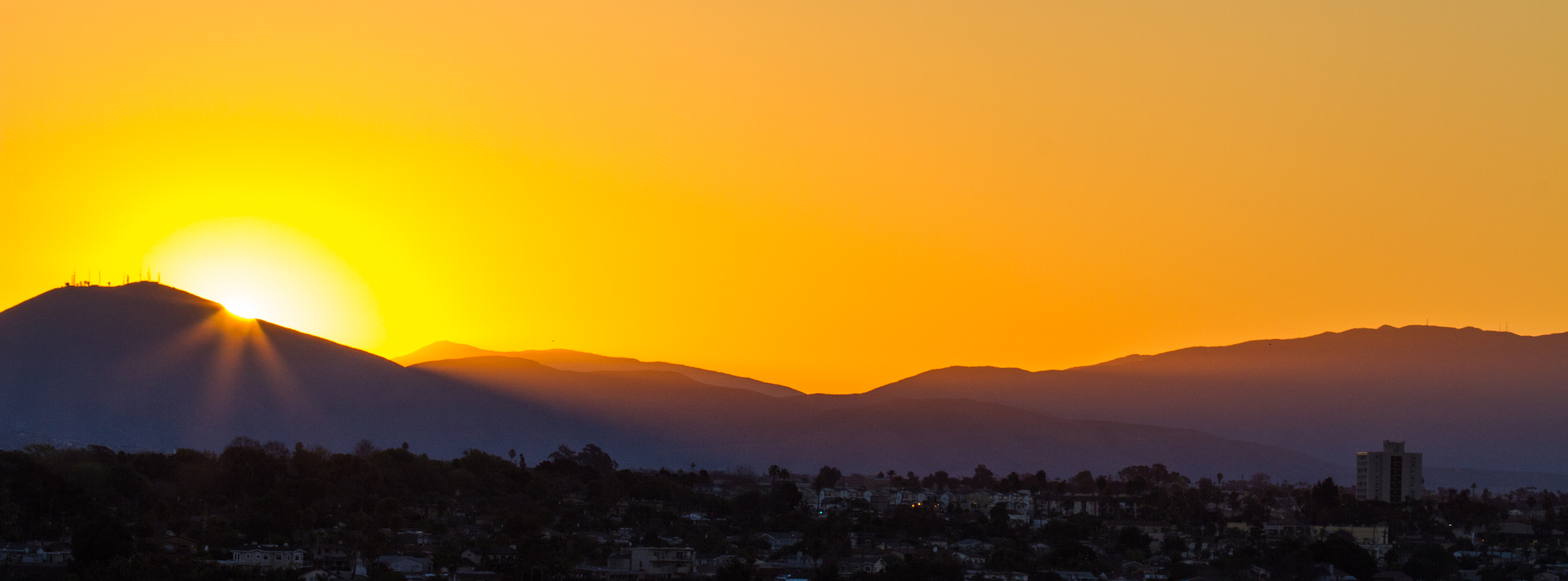 Morning Glory in San Diego