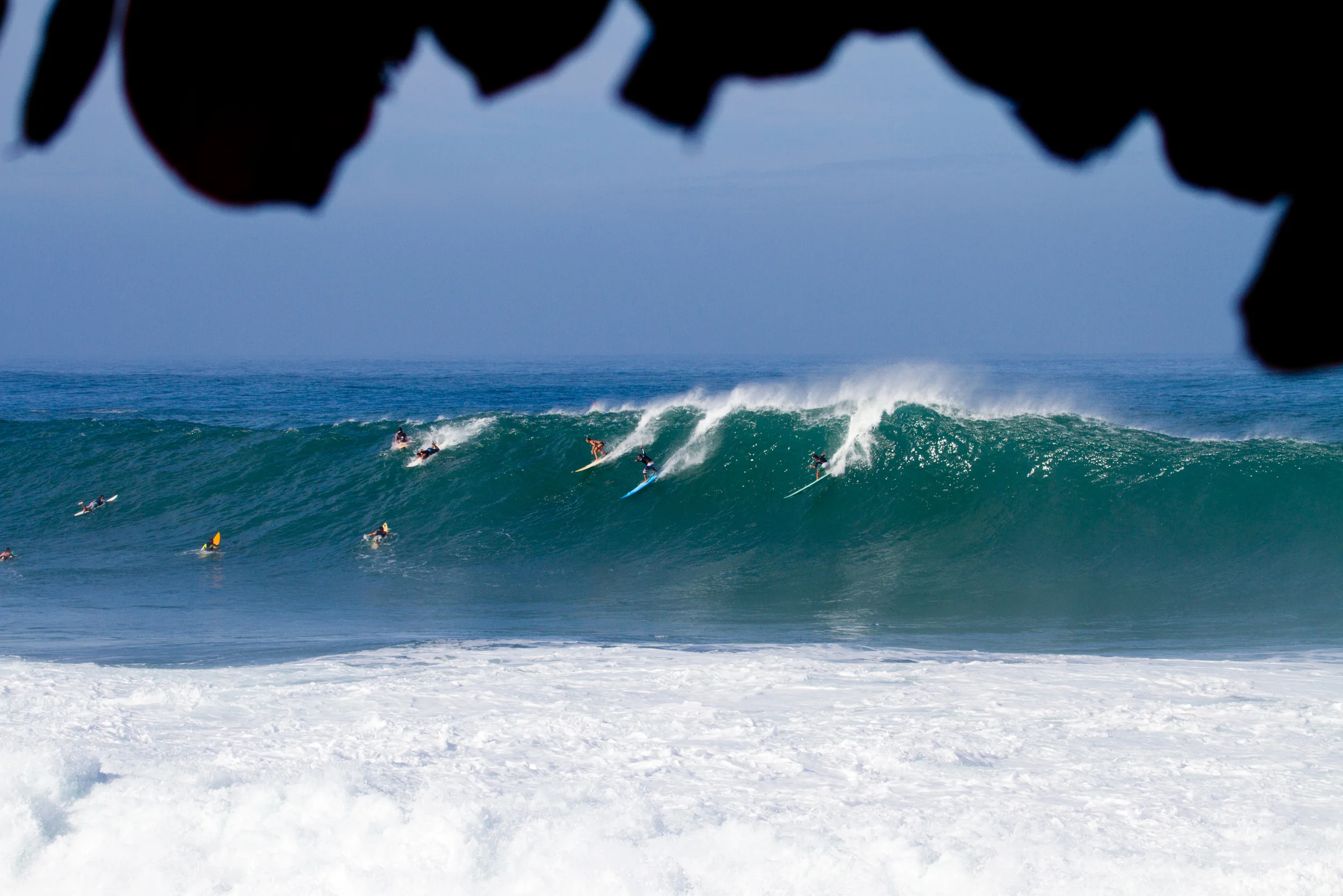 Kahea Hart & Friends, Waimea Bay - FreeSurf Magazine | ESPN.com