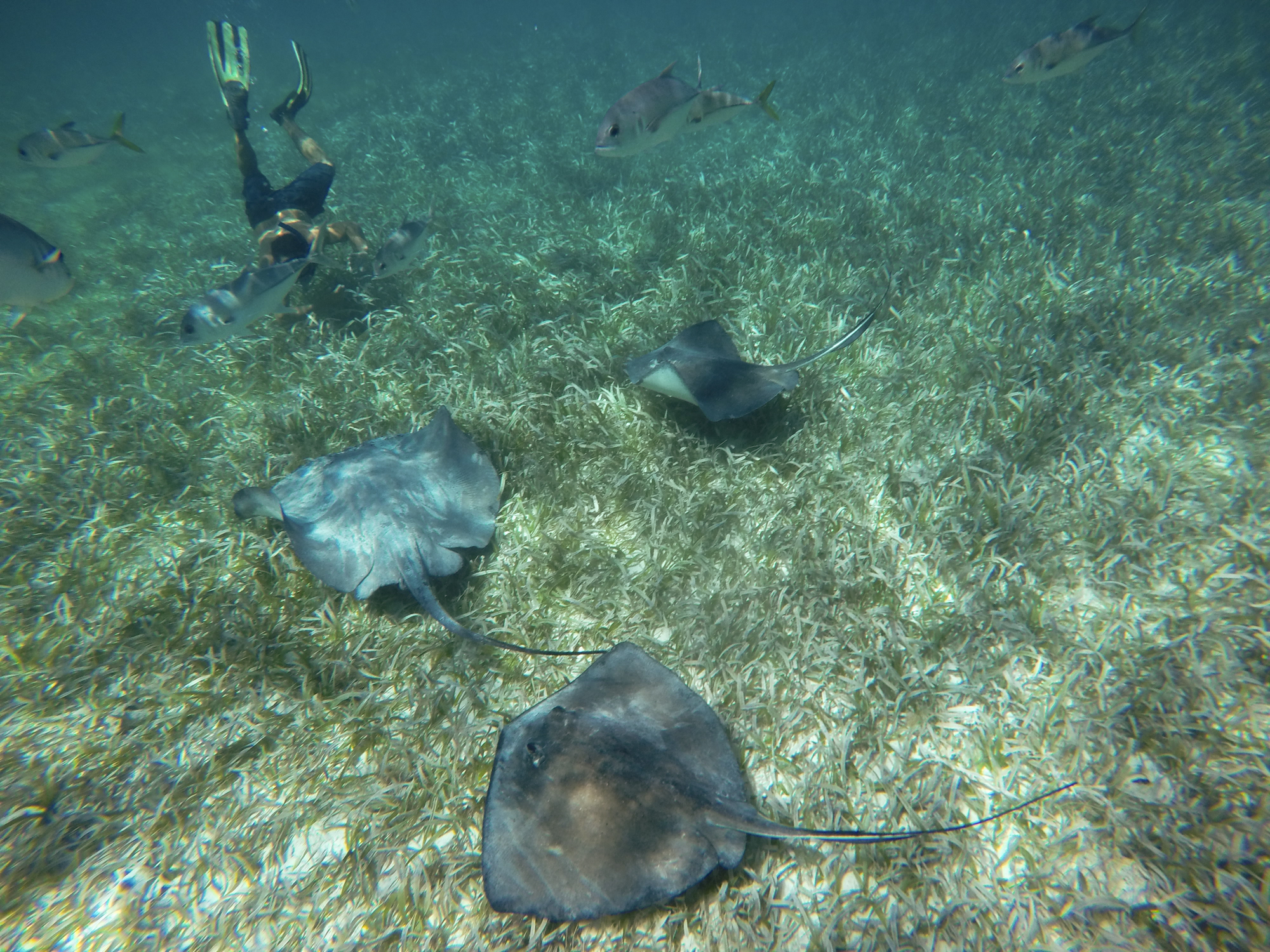 G0010312.jpg