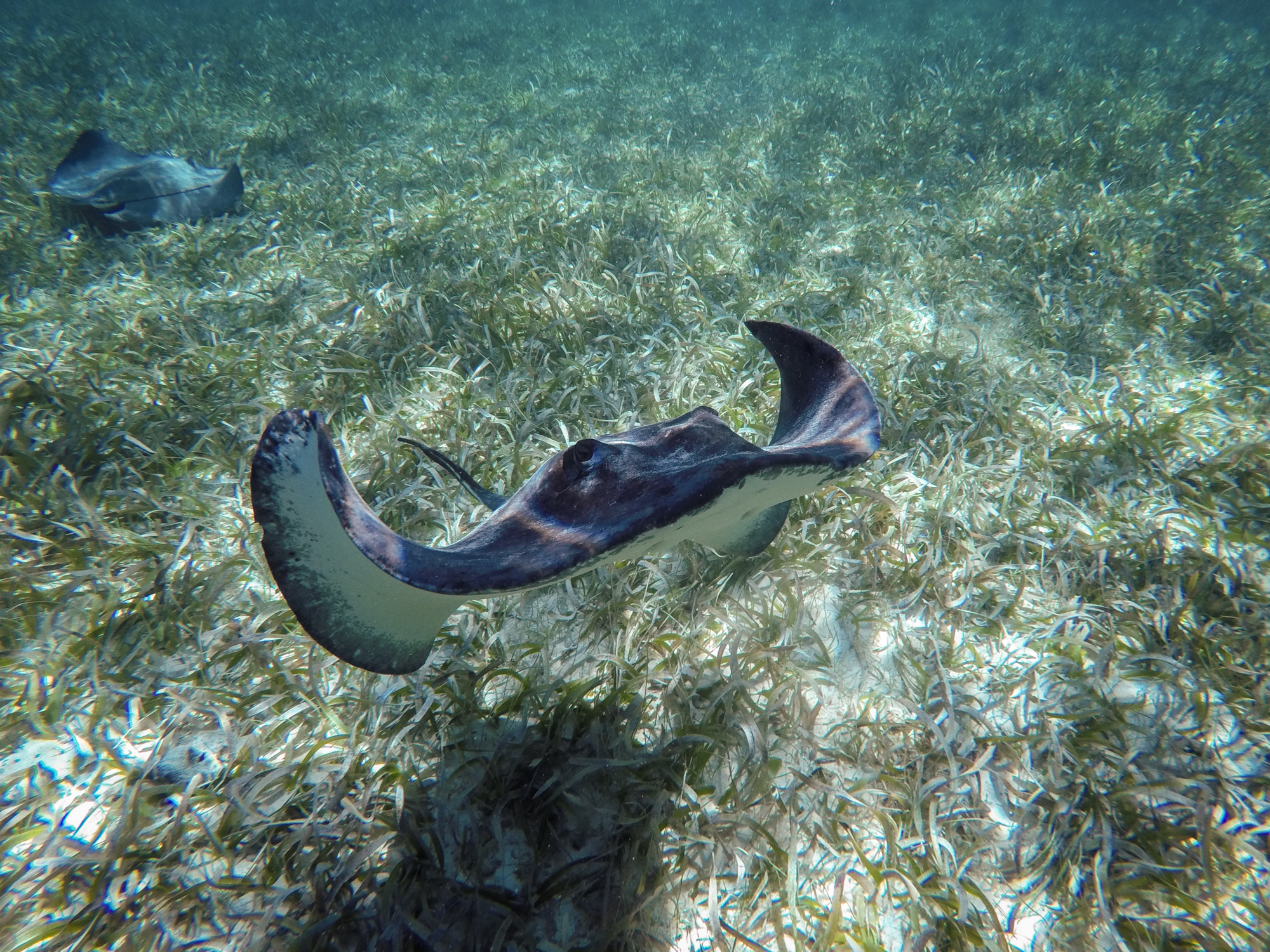 GOPR0274.jpg