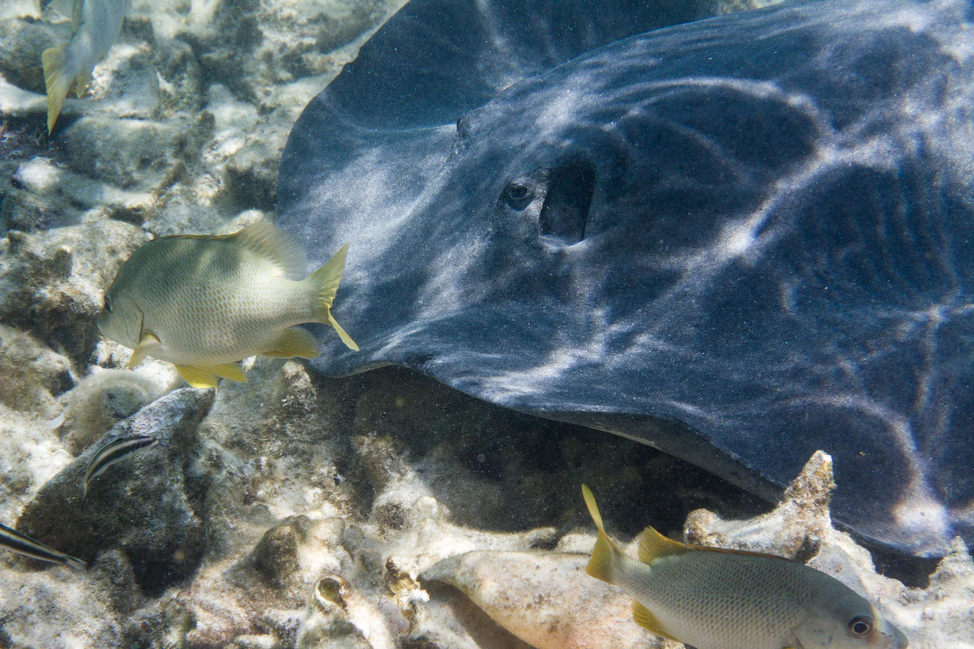 IMG_9410.jpg
