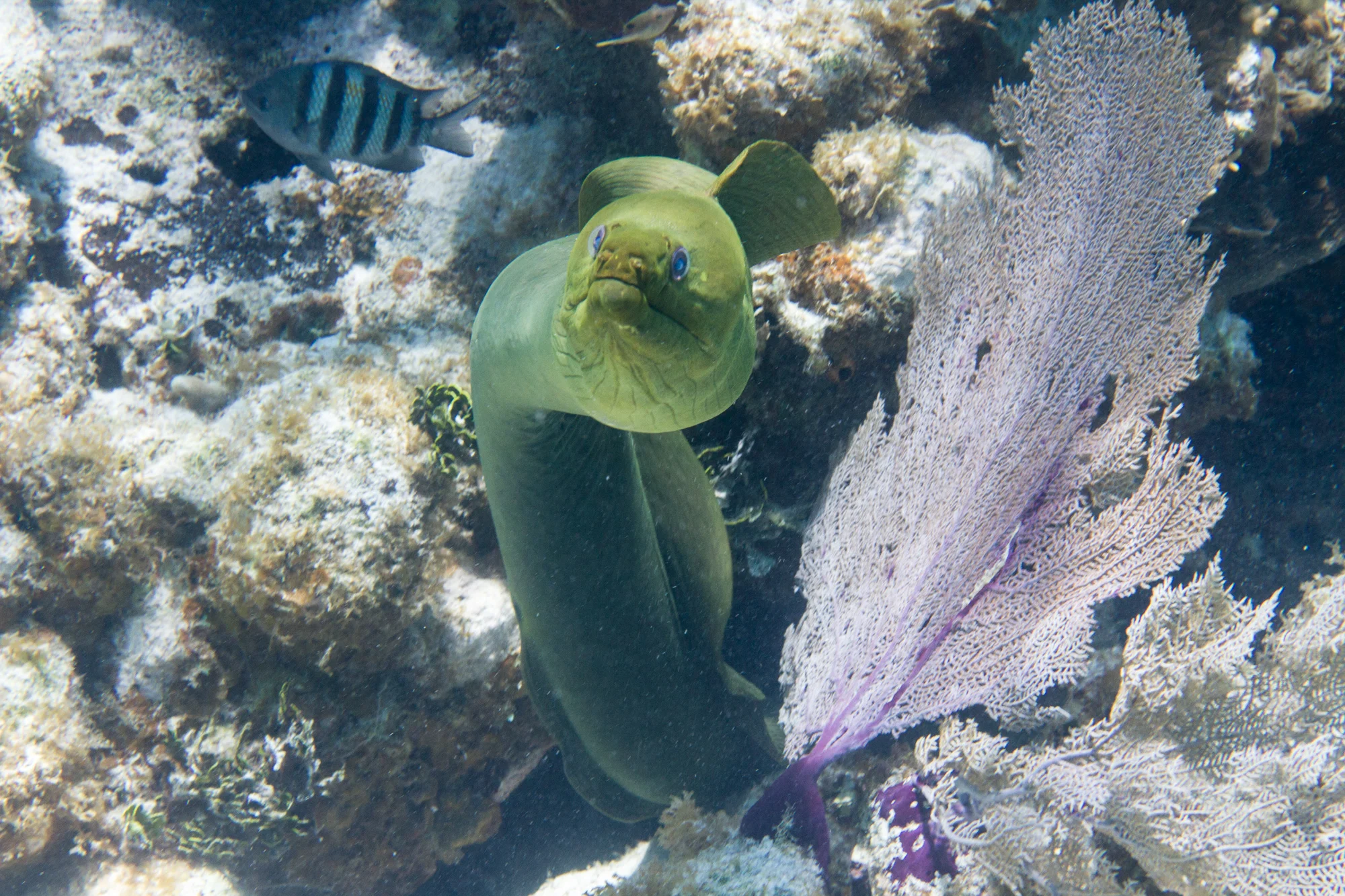 IMG_9578.jpg