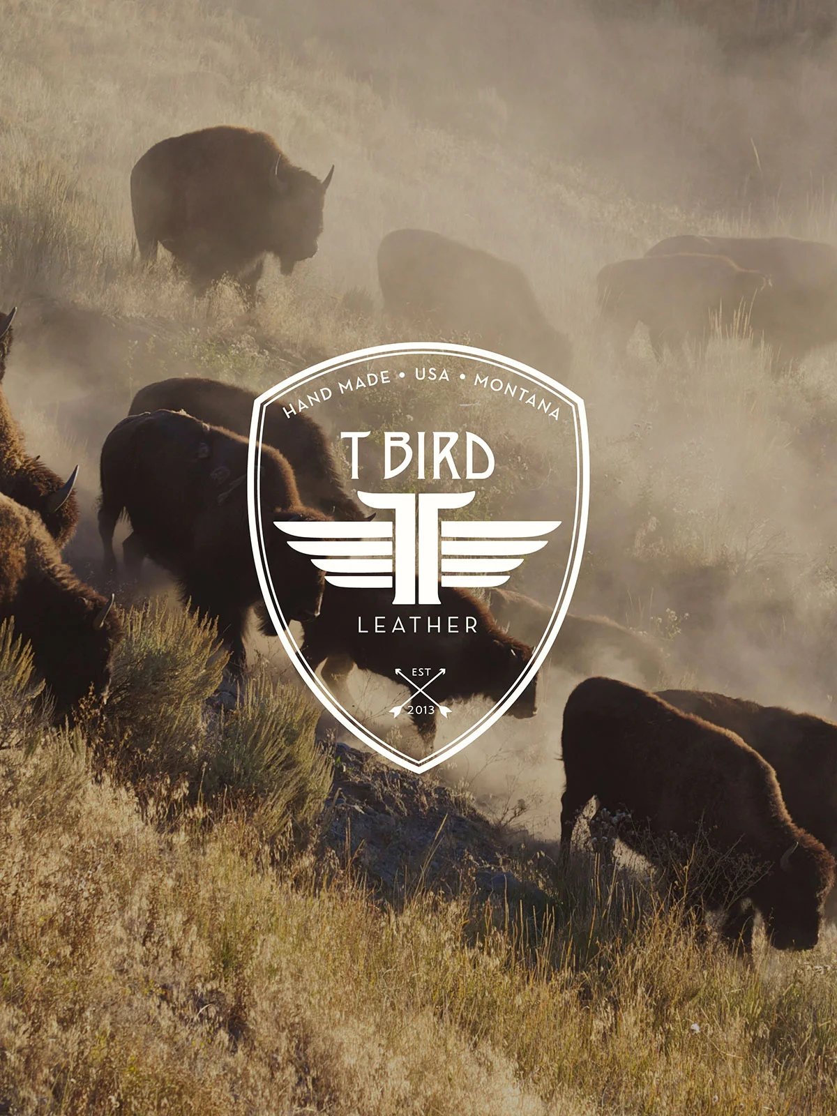 T-Bird-Leather_Layout3.jpg