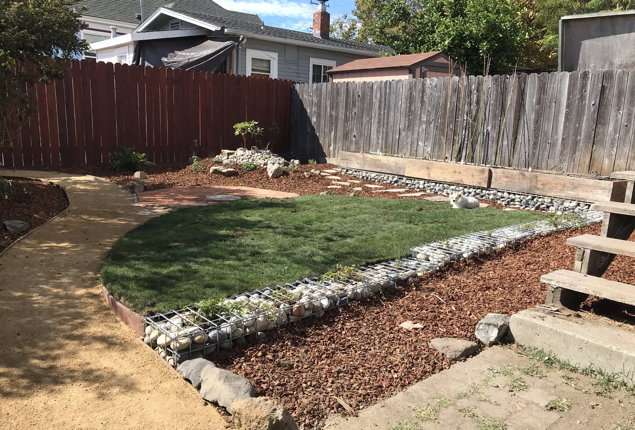 This was an exciting project that completely transformed this backyard in Berkeley from an unusable space into a CA Native plant oasis. We used bricks onsite to build an octagonal brick patio, lumber onsite to build a custom veggie bed, created a mound to plant a Madrone tree, Manzanita, Buckwheat, sage and purple needle grass, and planted woodland species under the Oak overstory. The lawn is a native drought tolerant species of Agrostis Pallens.