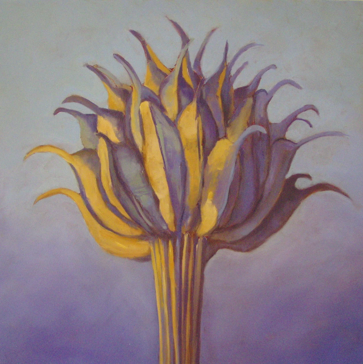 3. Globe Flower