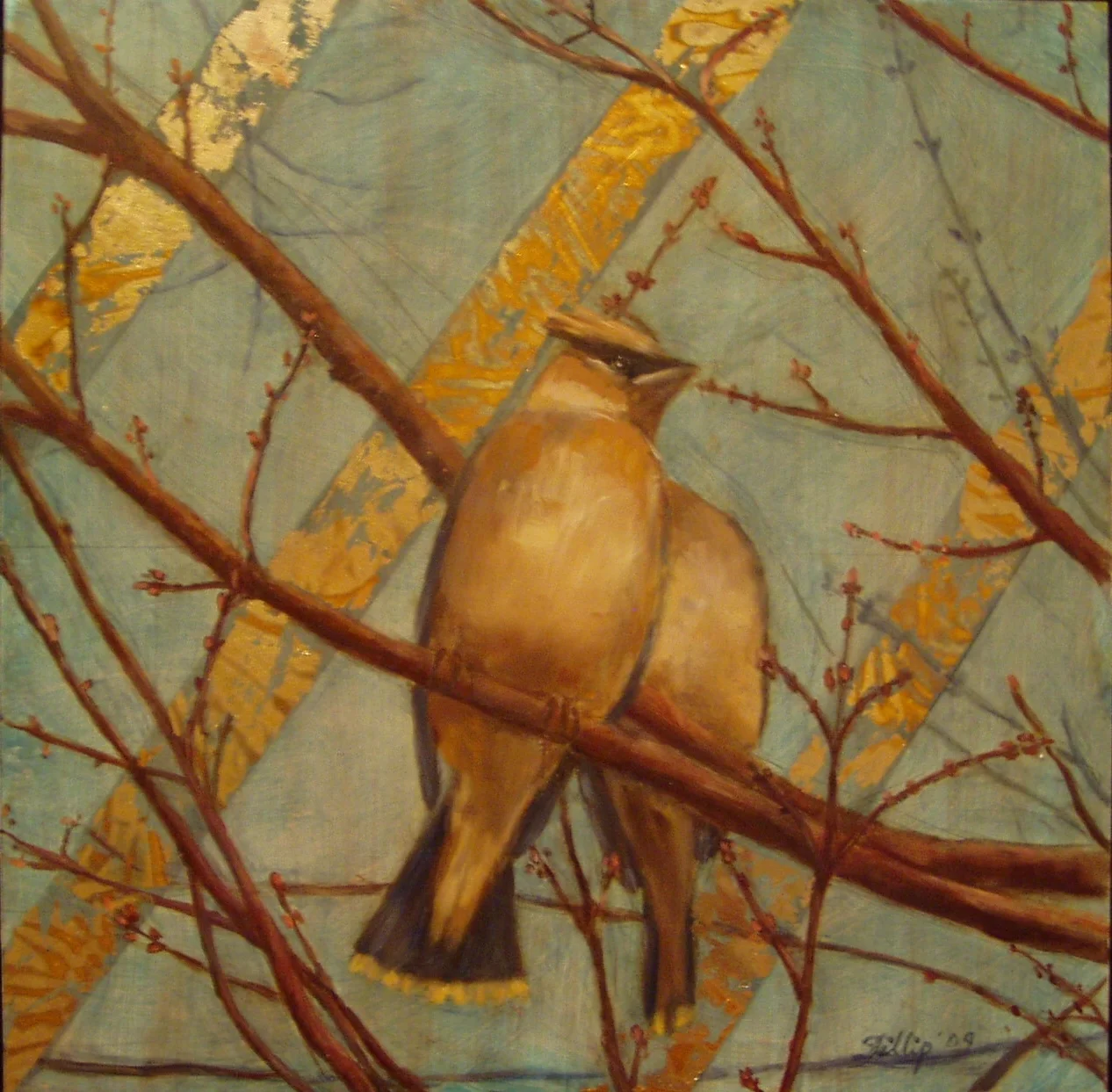 22. Cedar Waxwing