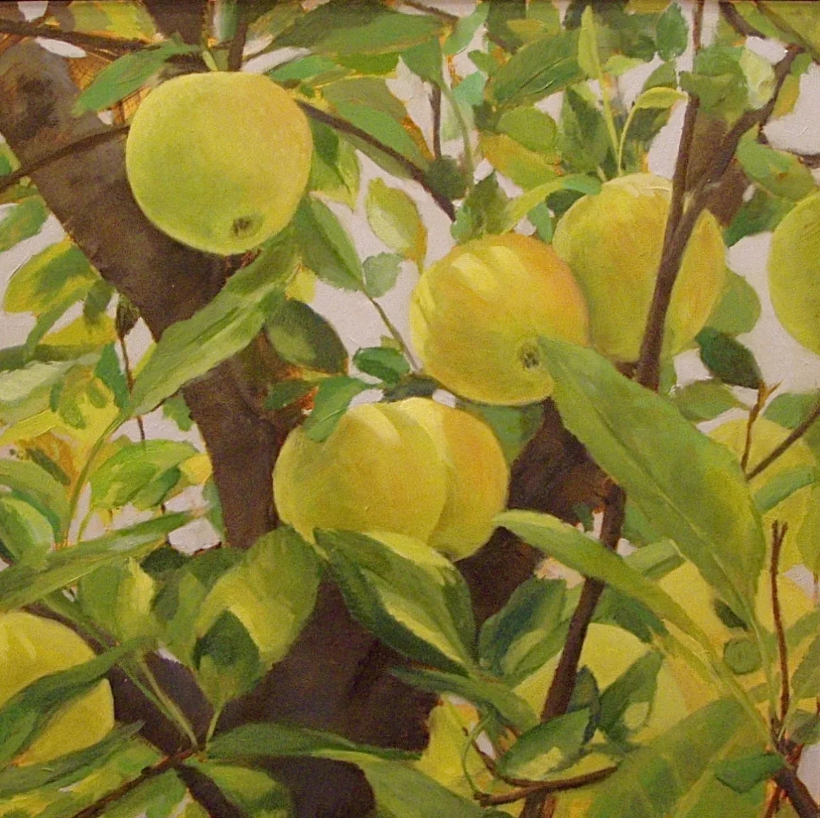 28 - Ripe