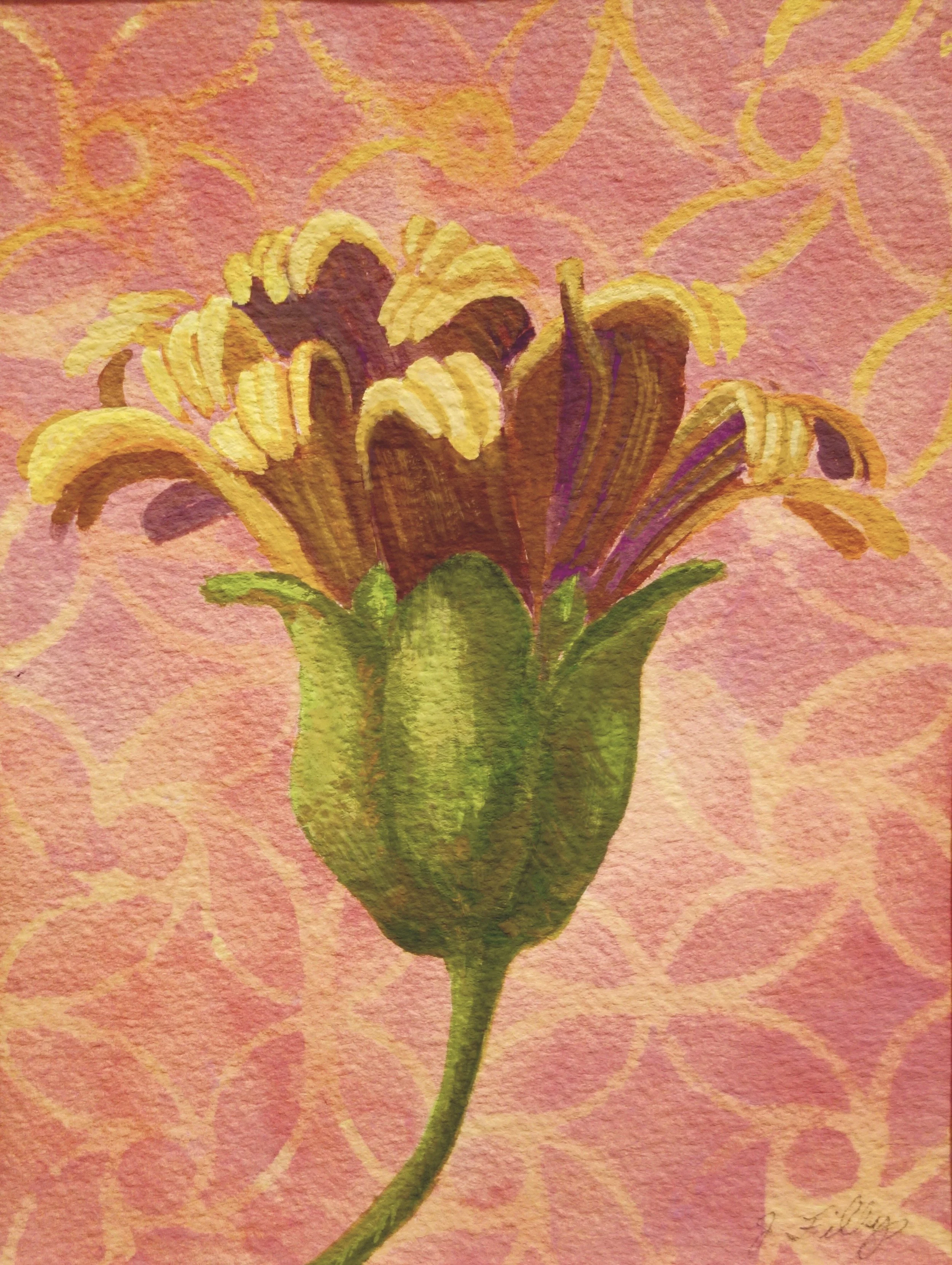 19.   Yellow Flowering 