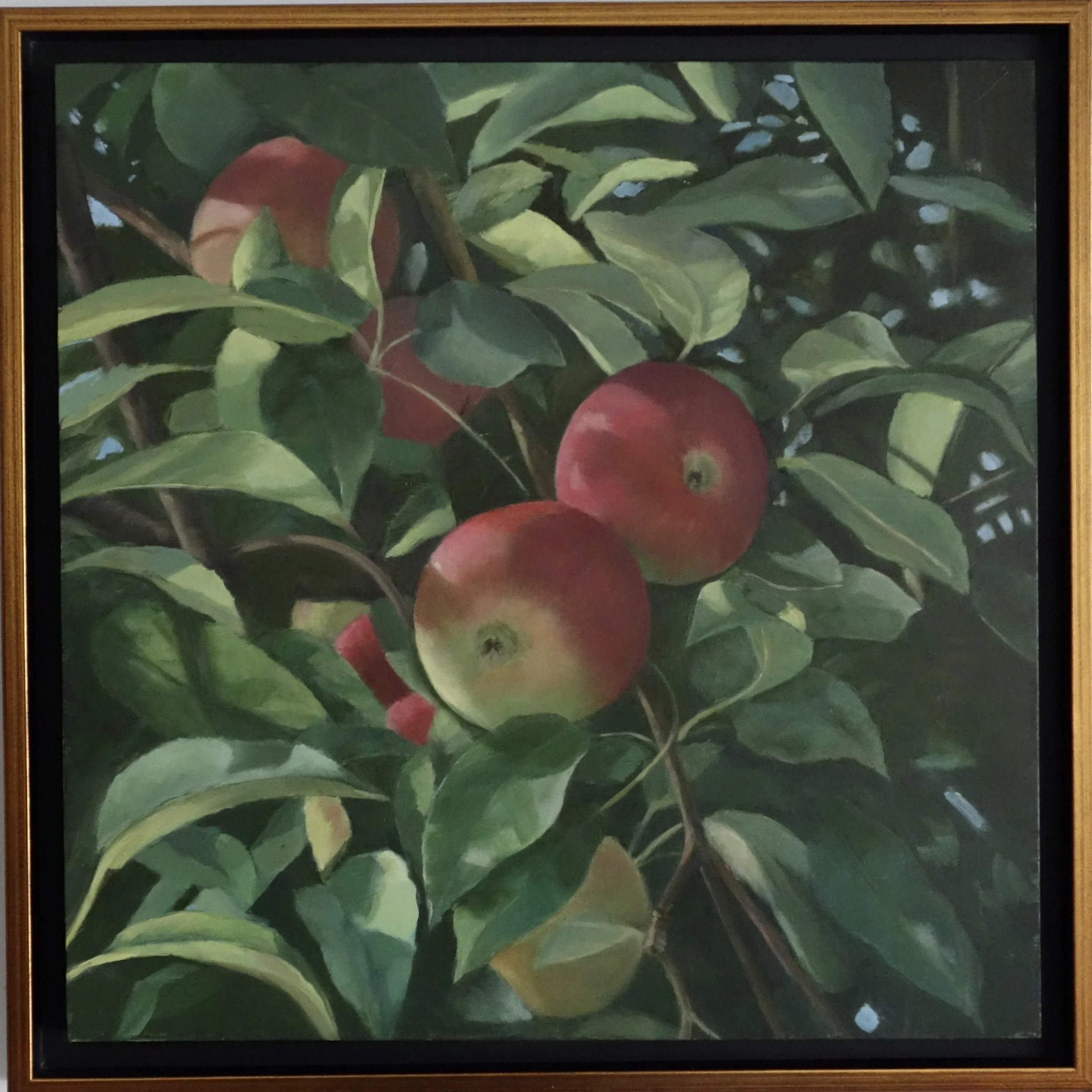 31. Red Cosmic Apples