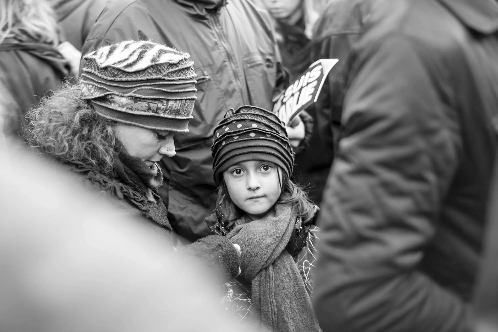 _DSC8284.jpg