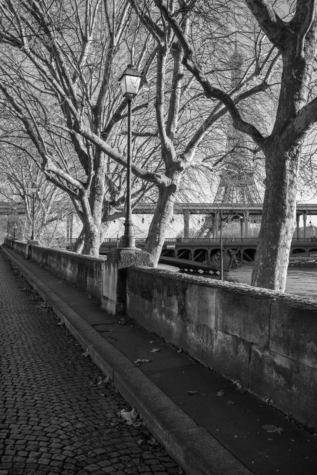  Bare winter trees along a cobbled riverside walk by the Pont de Bir-Hakeim, Paris. Photograph by Chris Perona. 