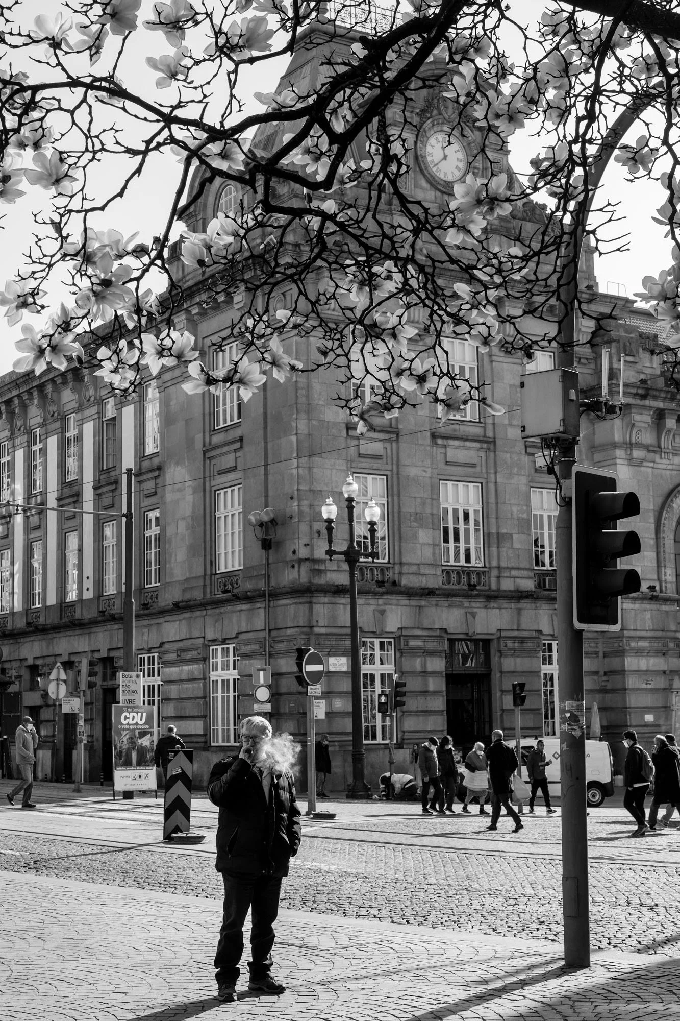 Man standing beneath a magnolia tree in blossom in a city square, Porto. Black-and-white street photograph by Chris Perona. 