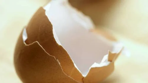 Dancing on Eggshells