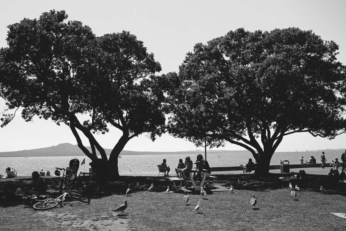 new zealand auckland black and white travel blog photography mission bay