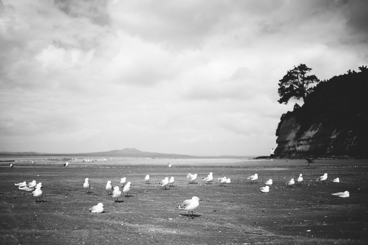 new zealand auckland black and white travel blog photography browns bay